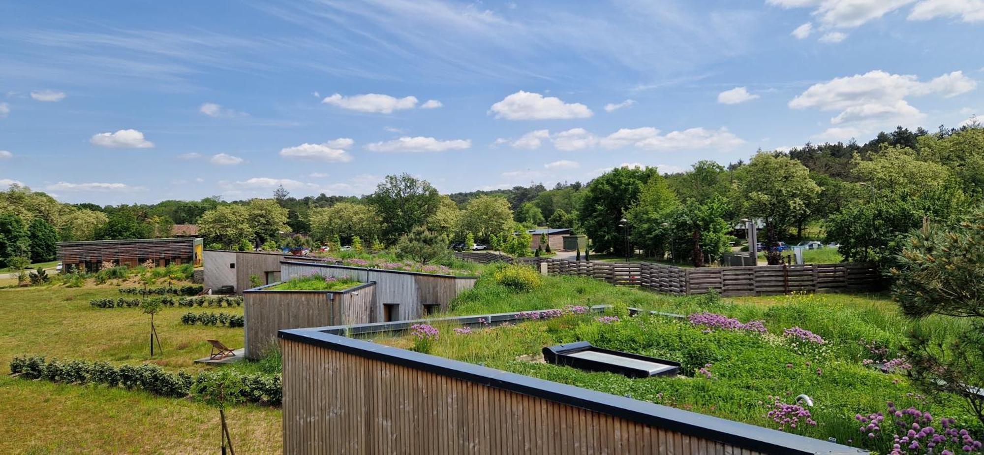 Domaine De L'Epau Eco-Resort Yvré-lʼÉvêque Esterno foto